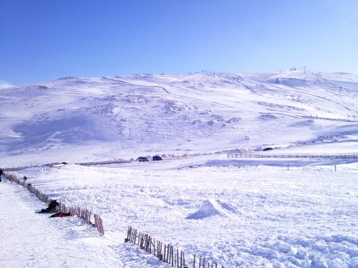 white snow & blue skies